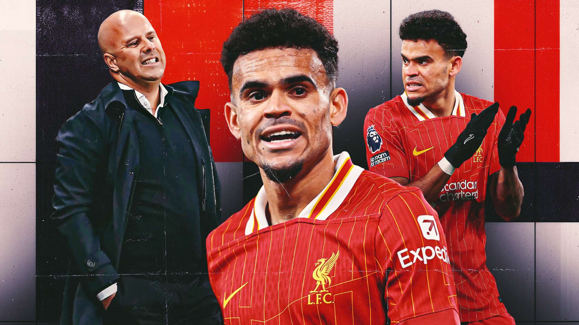 的期待和兴 的期待和兴