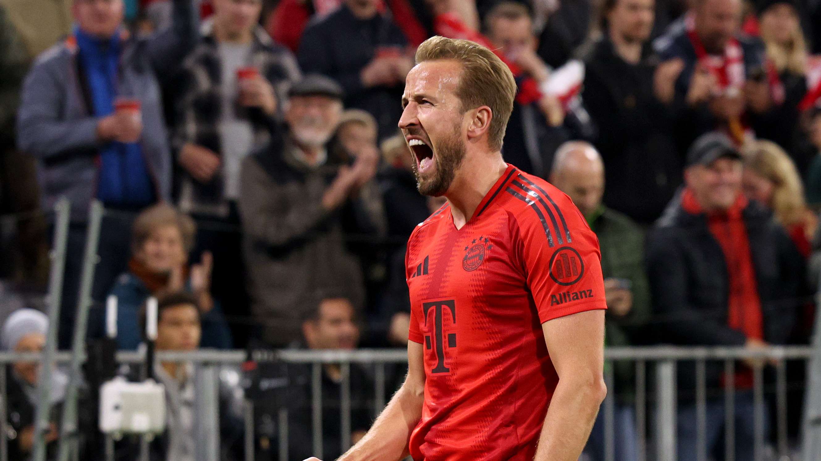 的观赏性 的观赏性