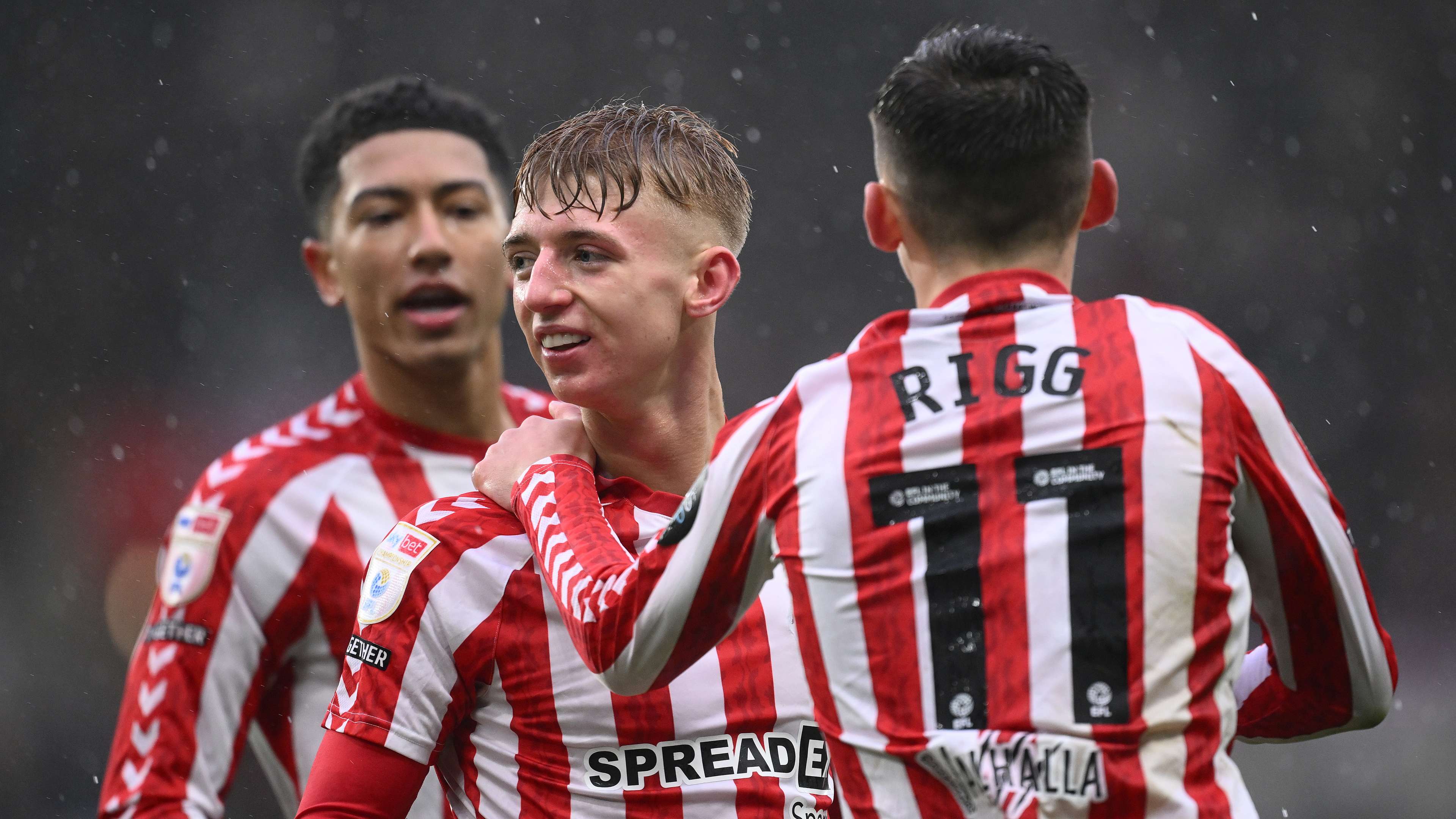 的组成部分 的组成部分